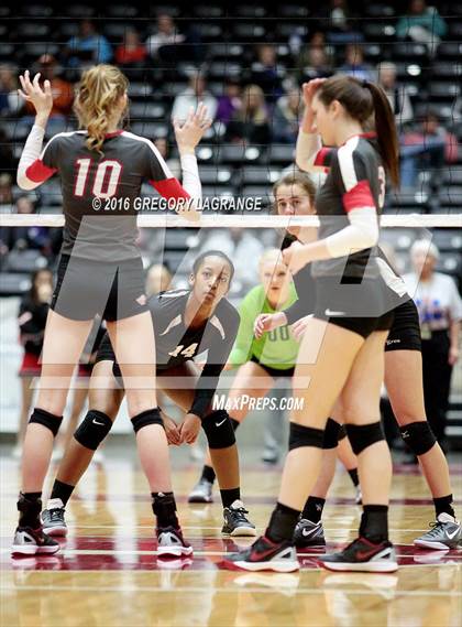 Thumbnail 2 in Bushland vs. Argyle  photogallery.