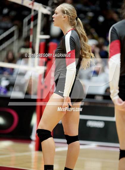 Thumbnail 1 in Bushland vs. Argyle  photogallery.