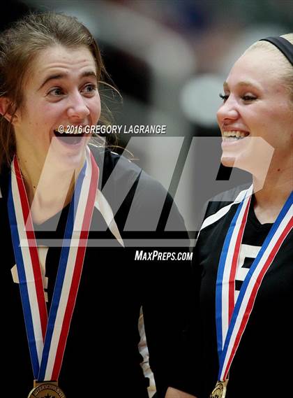 Thumbnail 3 in Bushland vs. Argyle  photogallery.