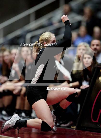 Thumbnail 1 in Bushland vs. Argyle  photogallery.