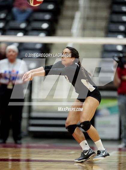 Thumbnail 3 in Bushland vs. Argyle  photogallery.
