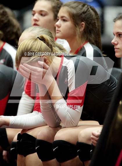 Thumbnail 2 in Bushland vs. Argyle  photogallery.