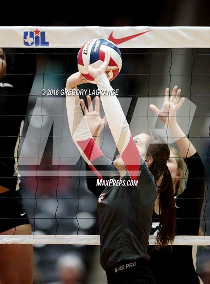 Thumbnail 2 in Bushland vs. Argyle  photogallery.