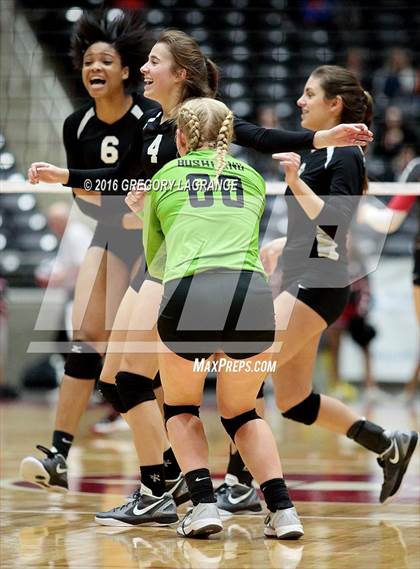 Thumbnail 1 in Bushland vs. Argyle  photogallery.