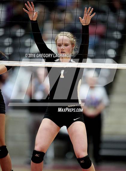 Thumbnail 2 in Bushland vs. Argyle  photogallery.