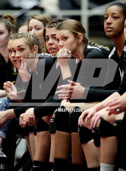 Thumbnail 2 in Bushland vs. Argyle  photogallery.
