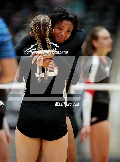 Thumbnail 1 in Bushland vs. Argyle  photogallery.