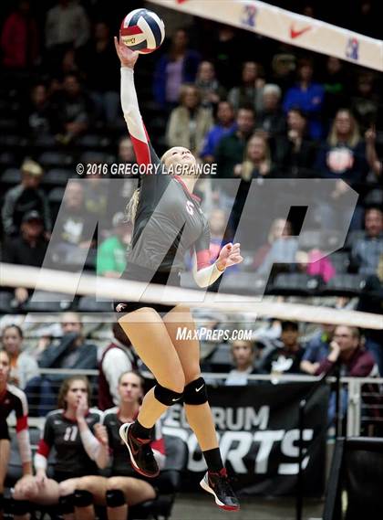 Thumbnail 2 in Bushland vs. Argyle  photogallery.