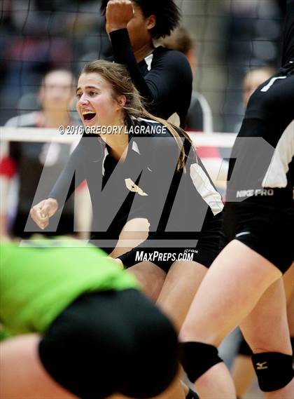 Thumbnail 1 in Bushland vs. Argyle  photogallery.