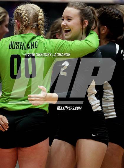 Thumbnail 1 in Bushland vs. Argyle  photogallery.