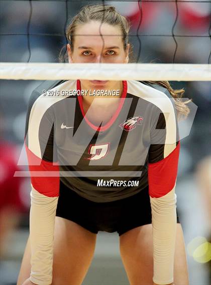Thumbnail 3 in Bushland vs. Argyle  photogallery.