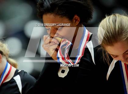 Thumbnail 2 in Bushland vs. Argyle  photogallery.