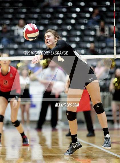 Thumbnail 3 in Bushland vs. Argyle  photogallery.