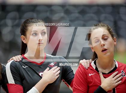Thumbnail 1 in Bushland vs. Argyle  photogallery.