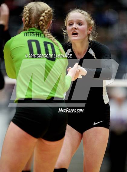 Thumbnail 3 in Bushland vs. Argyle  photogallery.