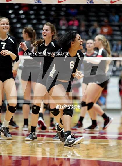 Thumbnail 3 in Bushland vs. Argyle  photogallery.