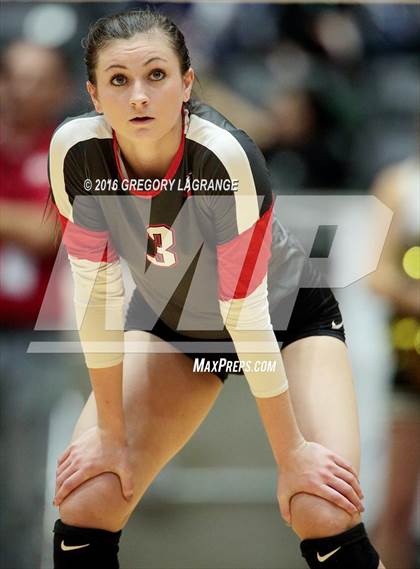 Thumbnail 3 in Bushland vs. Argyle  photogallery.