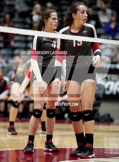 Thumbnail 1 in Bushland vs. Argyle  photogallery.