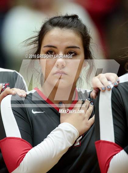 Thumbnail 2 in Bushland vs. Argyle  photogallery.
