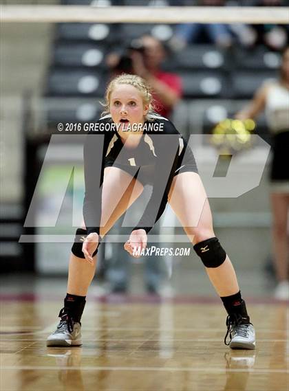 Thumbnail 3 in Bushland vs. Argyle  photogallery.