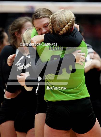 Thumbnail 2 in Bushland vs. Argyle  photogallery.