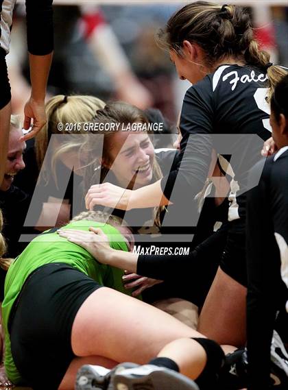 Thumbnail 2 in Bushland vs. Argyle  photogallery.