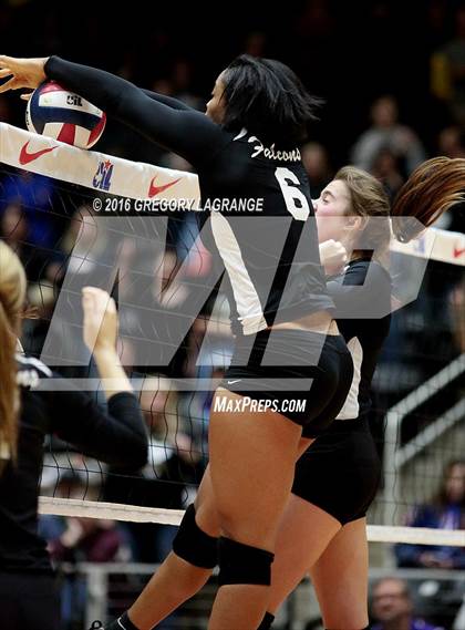 Thumbnail 3 in Bushland vs. Argyle  photogallery.