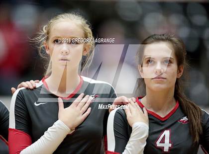 Thumbnail 2 in Bushland vs. Argyle  photogallery.