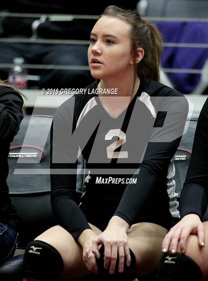 Thumbnail 3 in Bushland vs. Argyle  photogallery.