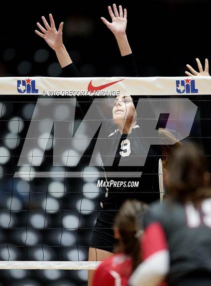 Thumbnail 3 in Bushland vs. Argyle  photogallery.