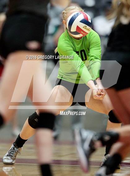 Thumbnail 1 in Bushland vs. Argyle  photogallery.