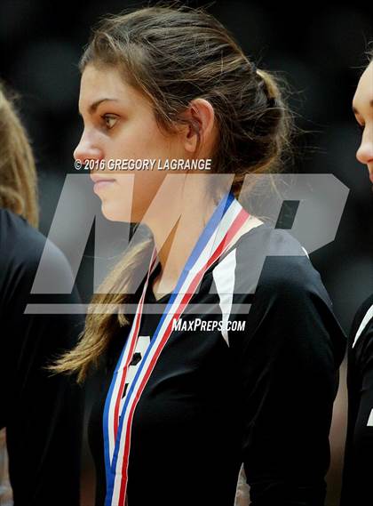Thumbnail 3 in Bushland vs. Argyle  photogallery.