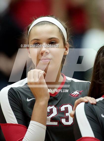 Thumbnail 1 in Bushland vs. Argyle  photogallery.