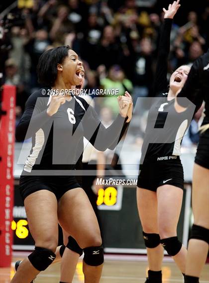 Thumbnail 2 in Bushland vs. Argyle  photogallery.