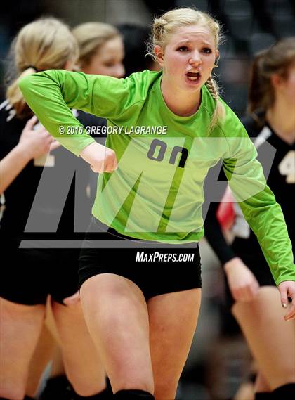 Thumbnail 2 in Bushland vs. Argyle  photogallery.