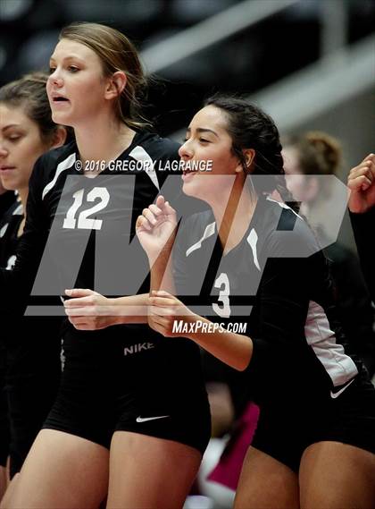 Thumbnail 3 in Bushland vs. Argyle  photogallery.