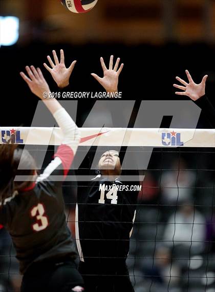 Thumbnail 2 in Bushland vs. Argyle  photogallery.