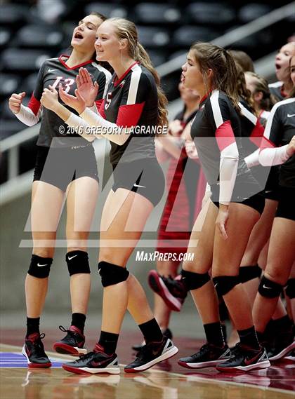 Thumbnail 1 in Bushland vs. Argyle  photogallery.