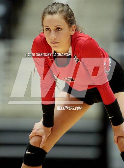 Thumbnail 1 in Bushland vs. Argyle  photogallery.