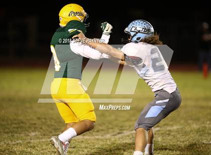 Thumbnail 3 in Cactus @ Peoria photogallery.
