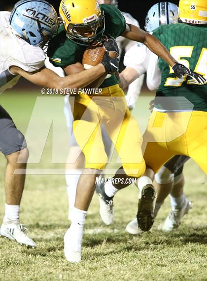Thumbnail 2 in Cactus @ Peoria photogallery.