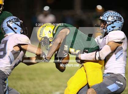 Thumbnail 3 in Cactus @ Peoria photogallery.