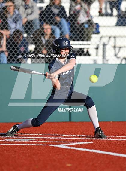 Thumbnail 1 in Redwood vs. Marin Catholic (CIF NCS MCAL Championship) photogallery.