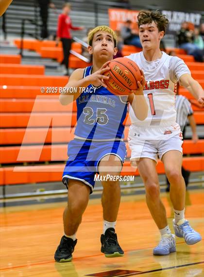 Thumbnail 1 in JV: Las Animas @ Syracuse photogallery.