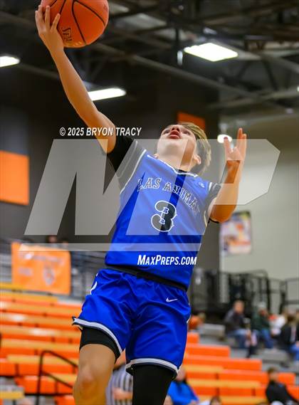 Thumbnail 1 in JV: Las Animas @ Syracuse photogallery.