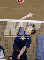 Photo from the gallery "Poudre School District vs. Sand Creek"