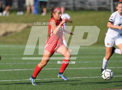 Thumbnail 3 in Arlington @ Somers photogallery.