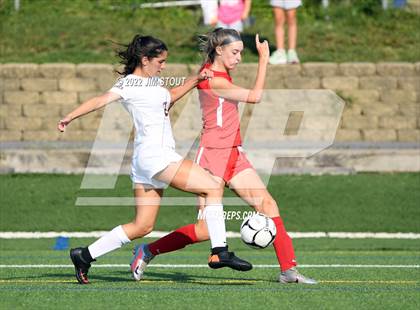 Thumbnail 1 in Arlington @ Somers photogallery.