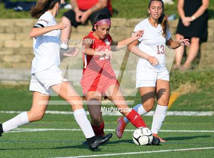 Thumbnail 2 in Arlington @ Somers photogallery.