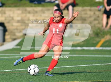 Thumbnail 1 in Arlington @ Somers photogallery.